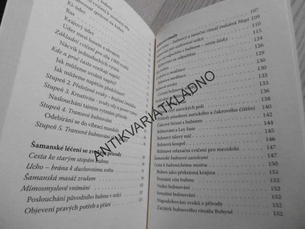 ŠAMANSKÉ LÉČIVÉ BUBNOVÁNÍ, JUNGHEE JANG, MARK HOSAK, **an