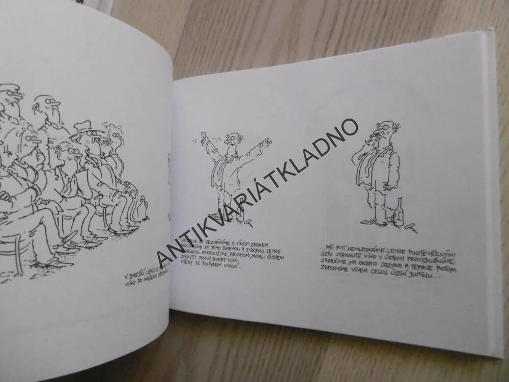 IN VINO VERITAS, VLADIMÍR RENČÍN, **an