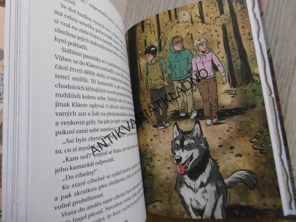 ZÁHADA DRAČÍHO KLÍČE, PETR HUGO ŠLIK, **an