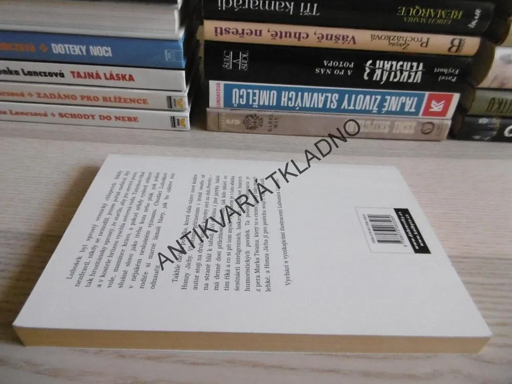 JAK SE LUBOŠEK NAUČIL MLUVIT SLUŠNĚ, JAN JÍCHA, **an