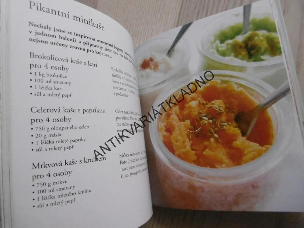 TRADIČNÍ RECEPTY PRO NOSTALGICKÉ GURMÁNY ANEB CO V KUCHYNI VYŠLO Z MÓDY, NICOLE SEEMAN, RAPHAËLE VIDALING, **an