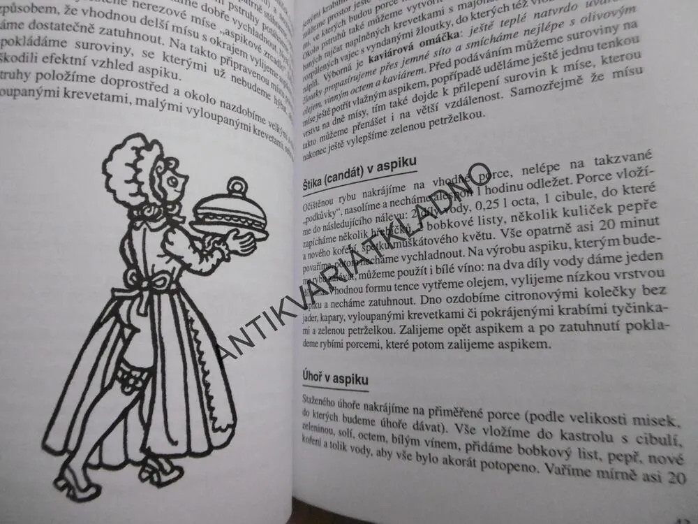 RYBY PRO SLAVNOSTNÍ PŘÍLEŽITOSTI, MILOŠ ŠTĚPNIČKA, **an