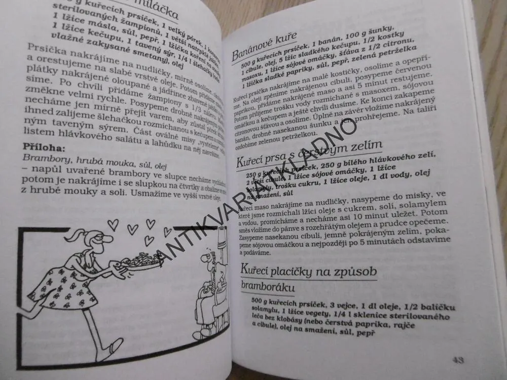 PÁNOVÉ, KE STOLU, PROSÍM, EVA VÁCHOVÁ, **an