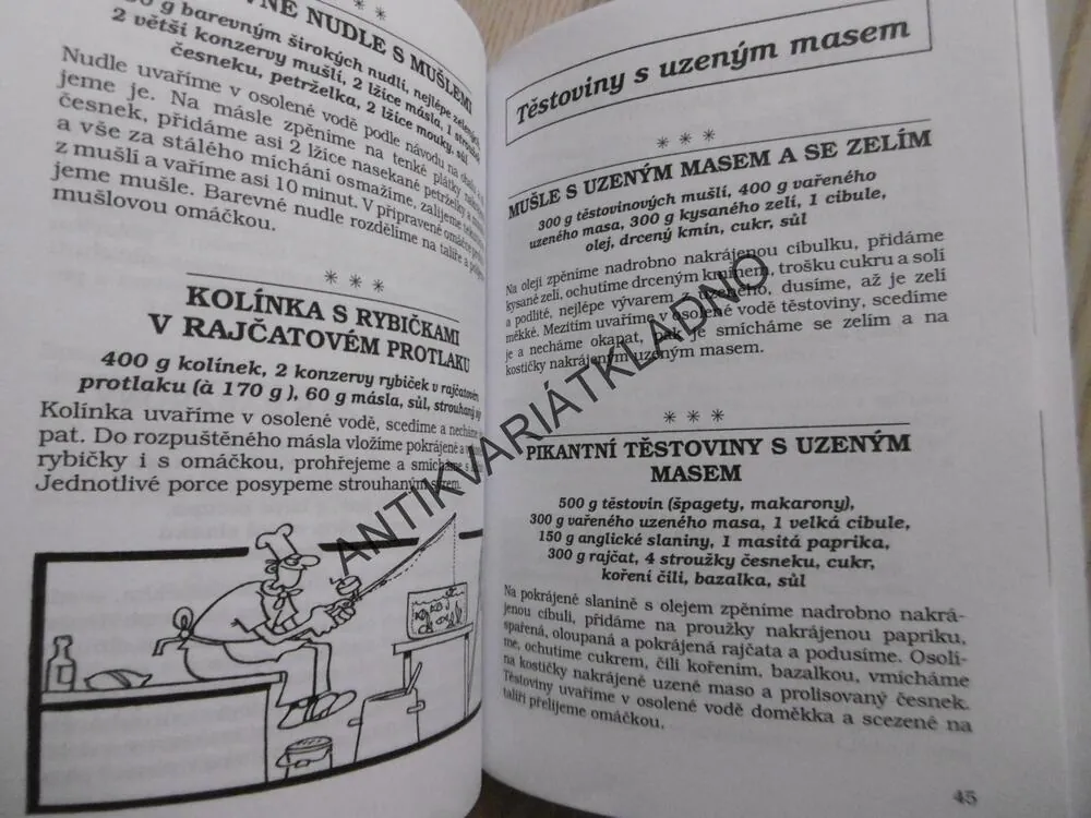 TĚSTOVINOVÁ KUCHAŘKA, ALENA DOLEŽALOVÁ, **an