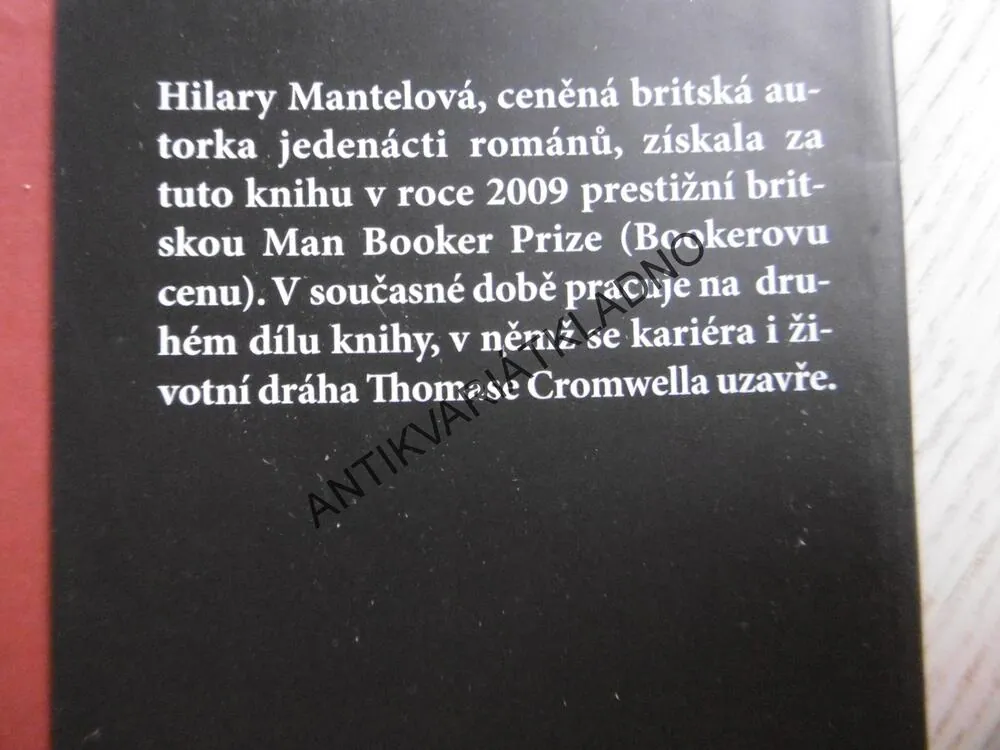 WOLF HALL, HILARY MANTELOVÁ, **an