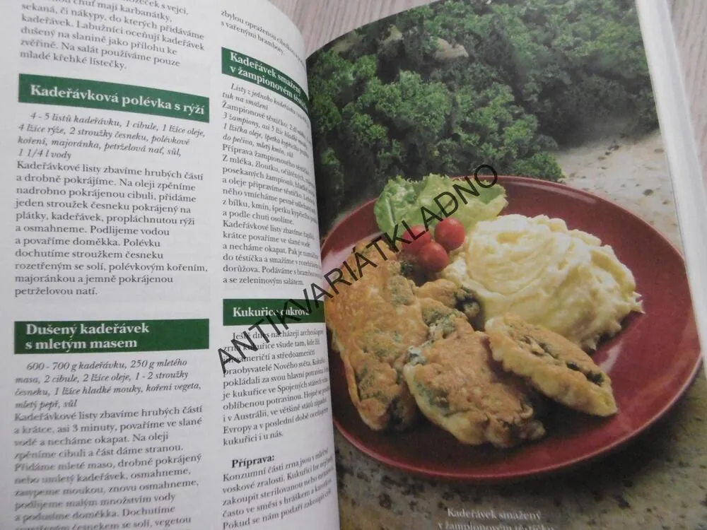 MODERNÍ KUCHYNĚ OD ARTYČOKU PO ŽRALOČÍ STEAK, JARMILA MANDŽUKOVÁ, **an