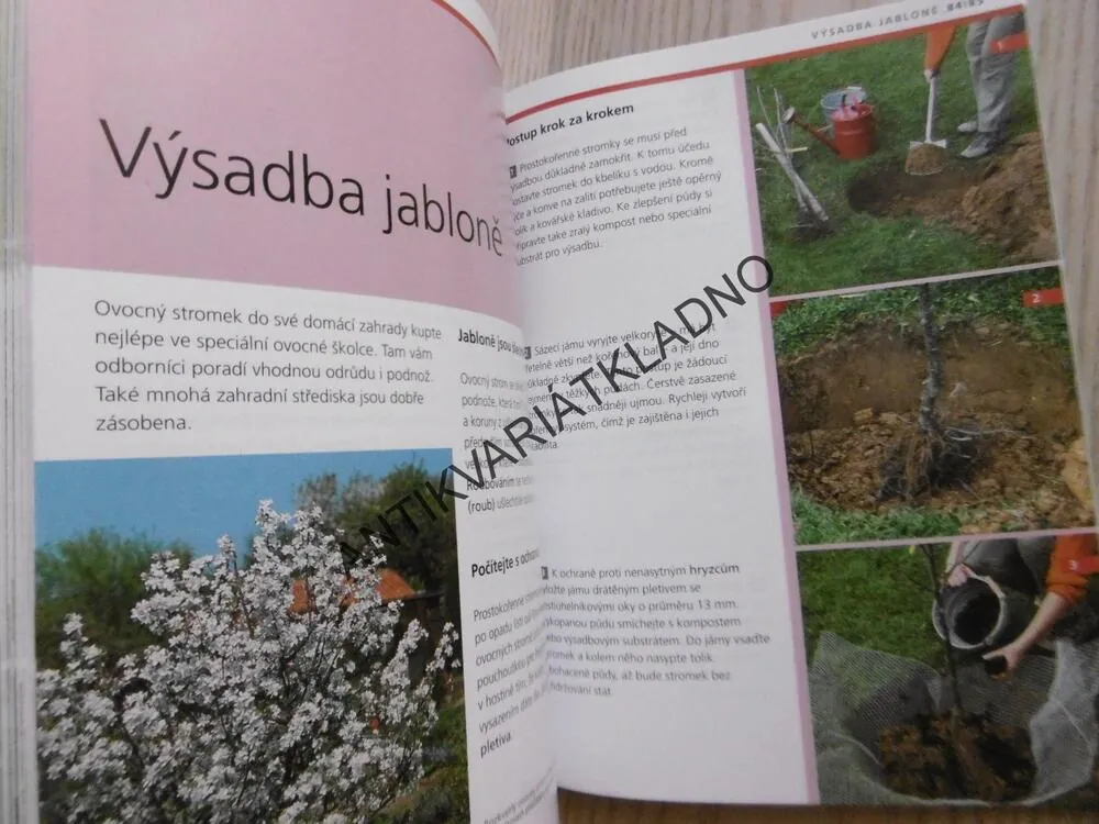 ZAHRÁDKA PRO KAŽDÉHO, DOROTHEA BAUMJOHANNOVÁ, **an