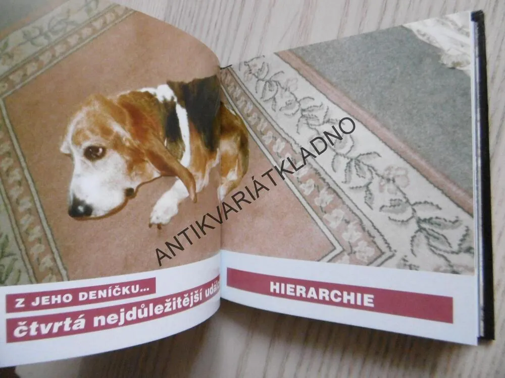 MILÁČEK, KNIHA O PSECH, RUDOLF MIHOLA,