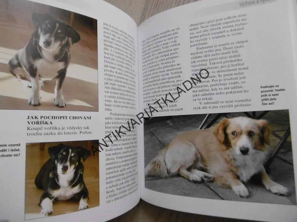 VOŘÍŠEK, HELENA KHOLOVÁ, **an