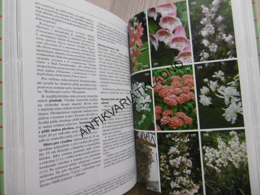DVANÁCT MĚSÍCŮ V ZAHRADĚ, HOBBY, **an