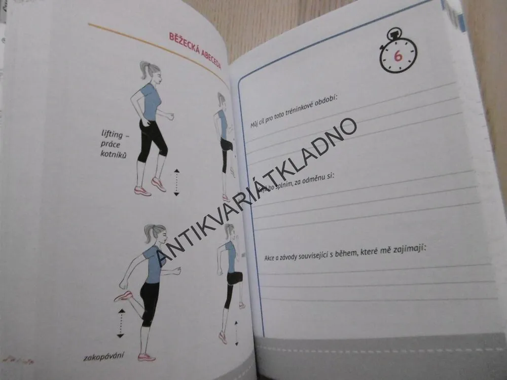 ZÁPISNÍK BĚŽKYNĚ, JANA LEBLANC, MARTINA PAVLOVÁ, **an