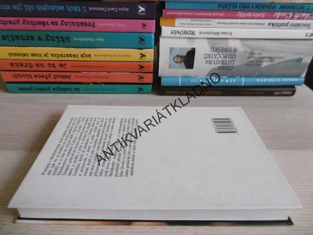 CIZINEC V ZRCADLE, SIDNEY SHELDON, **an