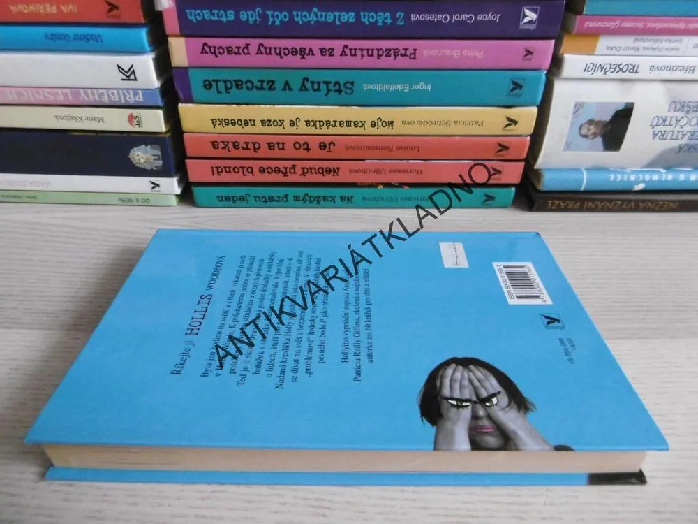 DRSŇAČKA HOLLIS, PATRICIA REILLY GIFFOVÁ, **an