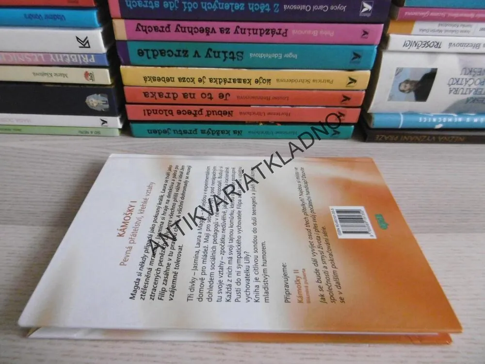 KÁMOŠKY I., PEVNÁ PŘÁTELSTVÍ, KŘEHKÉ VZTAHY, C. B. LESSMANN, **an