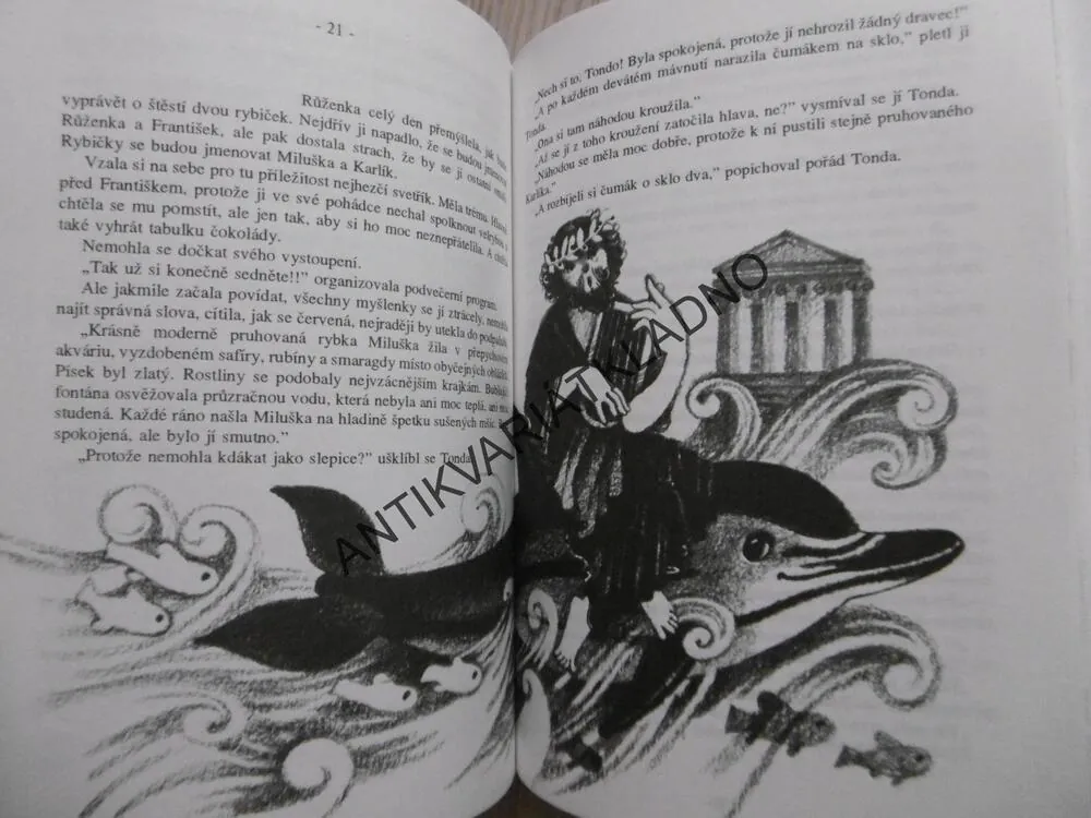 DÍVKA A MOTÝL, DMITRIJ PLICHTA, **an