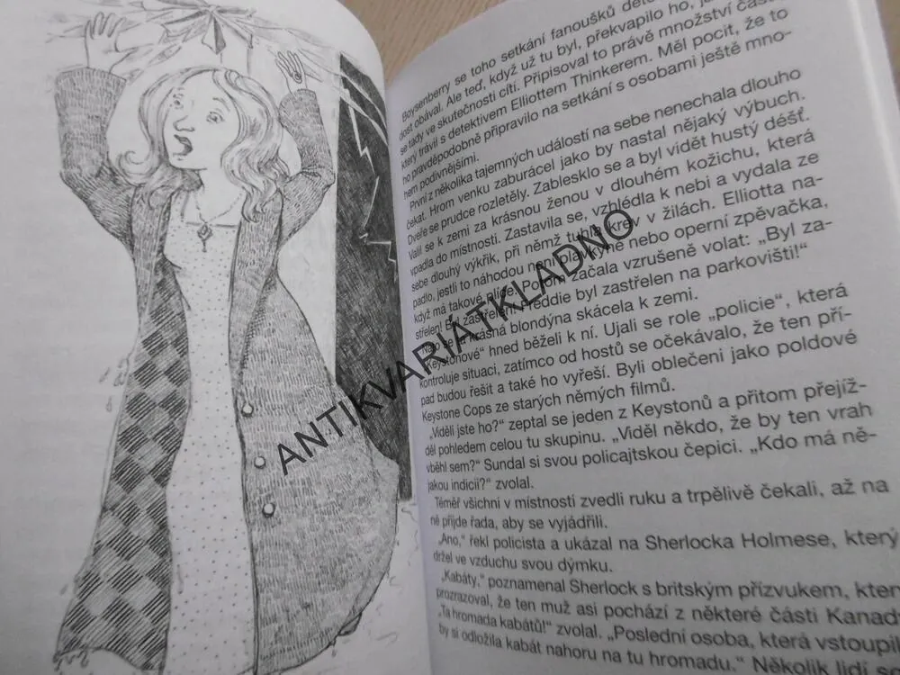 DETEKTIV RYCHLÍK ZASAHUJE, JIM SUKACH, **an