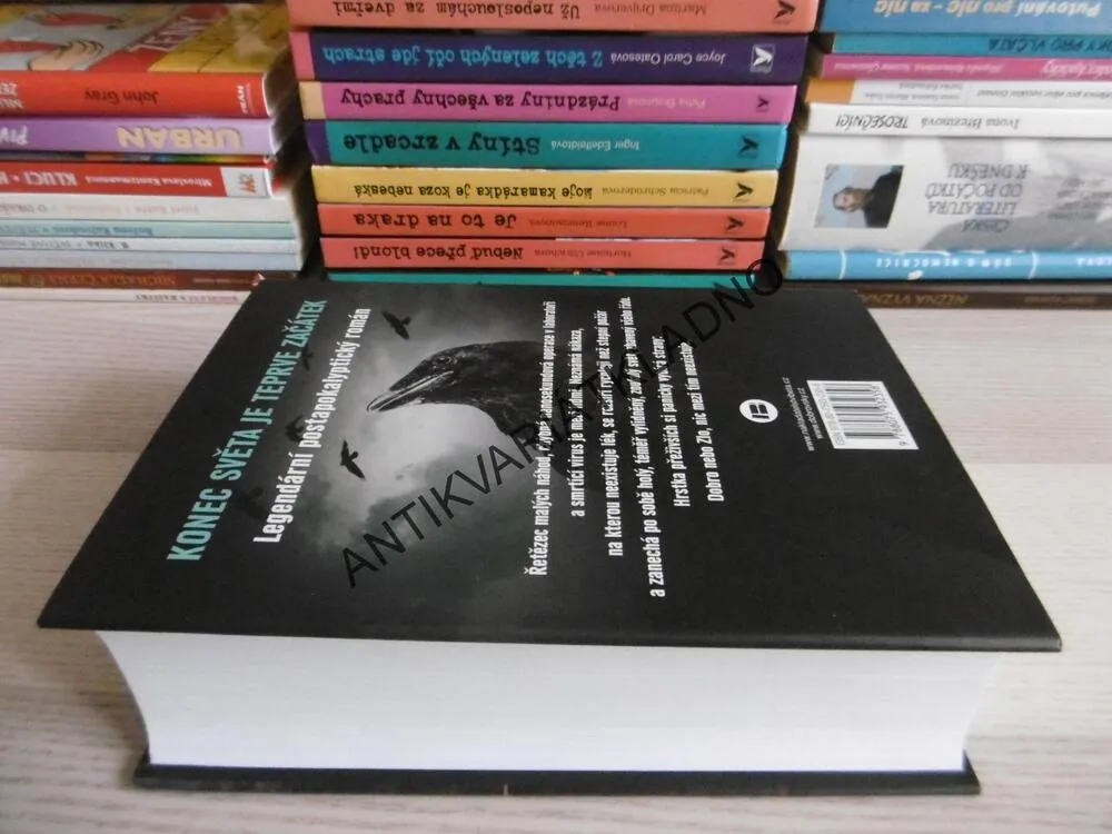 SVĚDECTVÍ, STEPHEN KING, **an