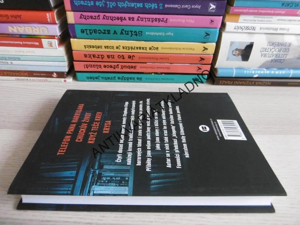 KDYŽ TEČE KREV, STEPHEN KING, **an