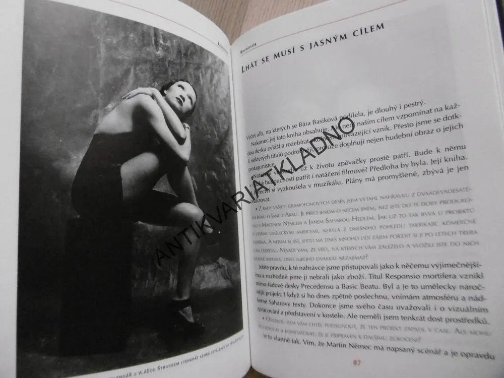 BÁRA BASIKOVÁ, ZDENĚK SMÍŠEK,  **an