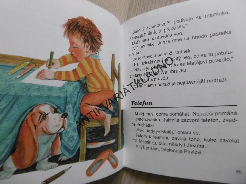 MATĚJ A JEHO SVĚT, LUDVÍK STŘEDA, **an