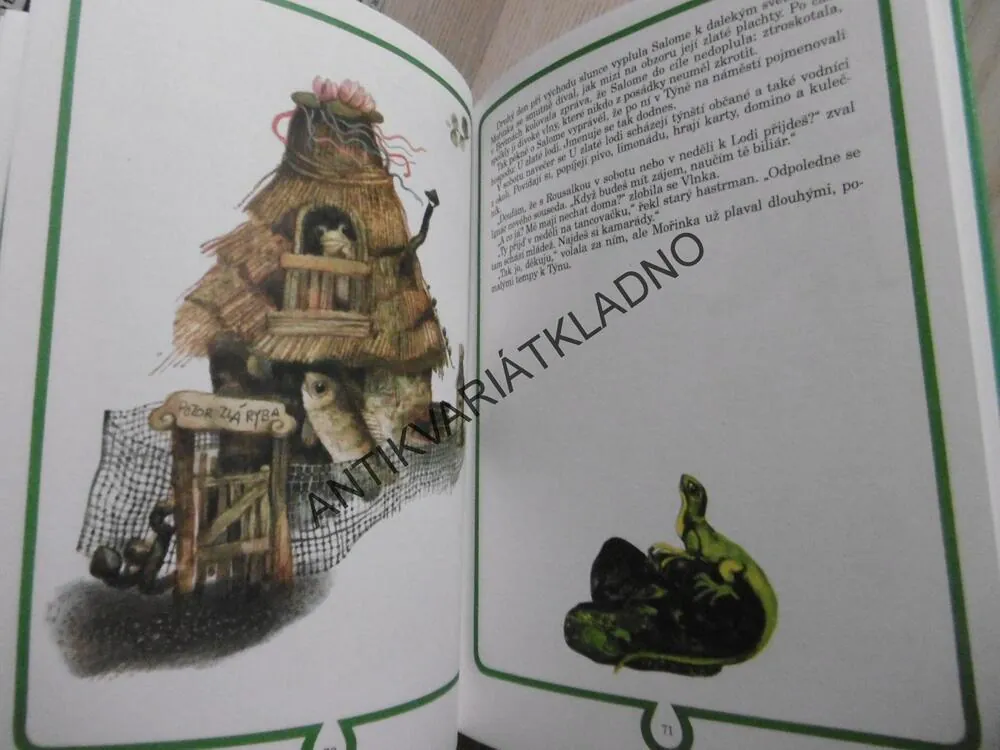 MOKREJŠOVÉ, VODNÍCI Z LOUŽE, ILONA BORSKÁ, **an