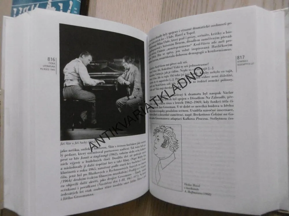 ČESKÁ LITERATURA OD POČÁTKŮ K DNEŠKU, JAN LEHÁR, ALEXANDR STICH, JAROSLAVA JANÁČKOVÁ, JIŘÍ HOLÝ, **an