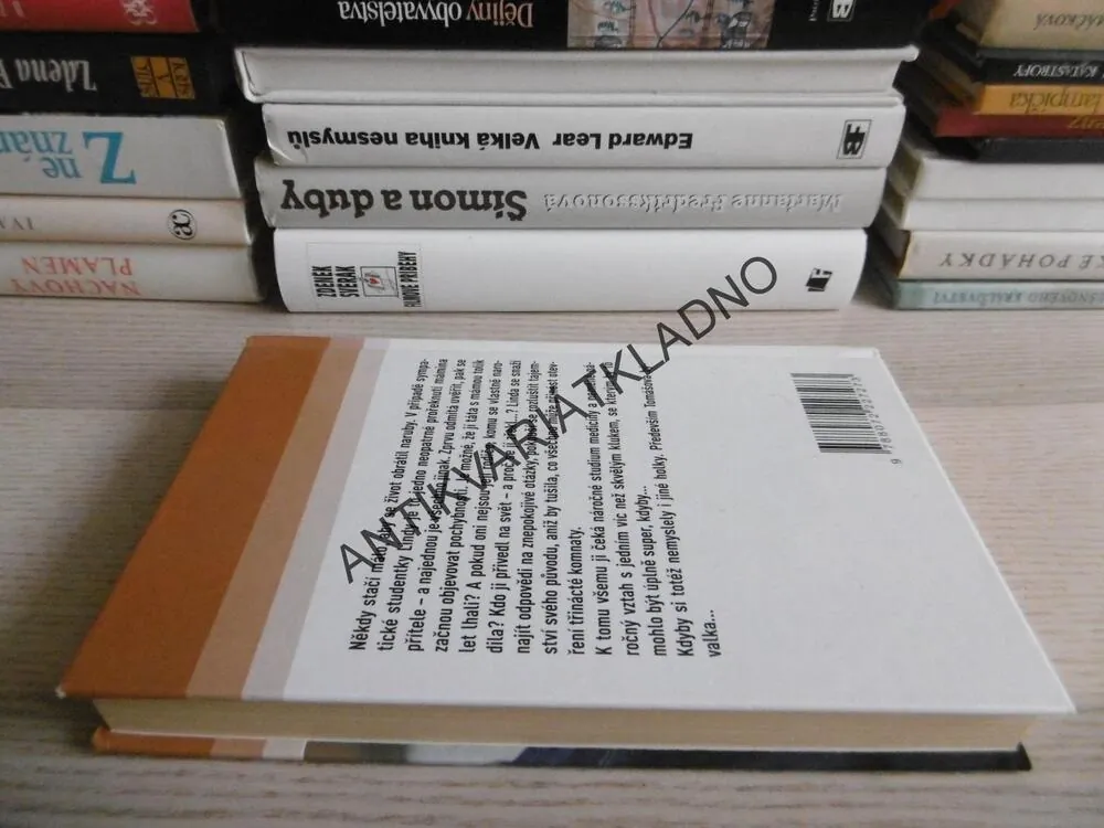TŘINÁCTÁ KOMNATA, LENKA LANCZOVÁ, **an