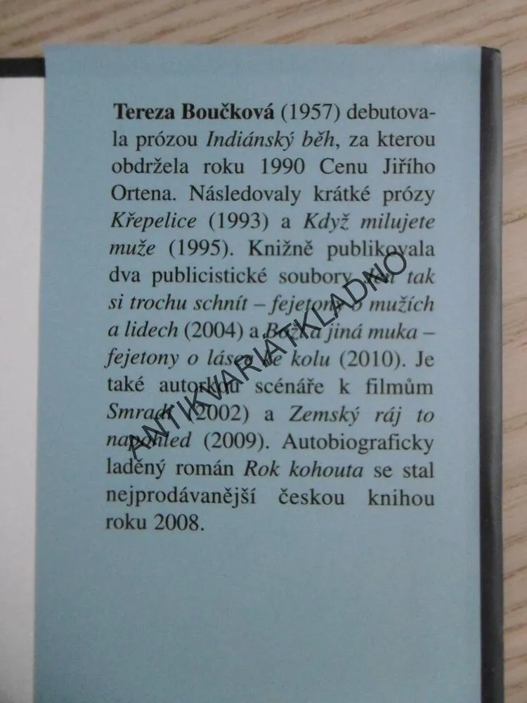 ŠÍLENĚ SMUTNÉ POVÍDKY, TEREZA BOUČKOVÁ, **an