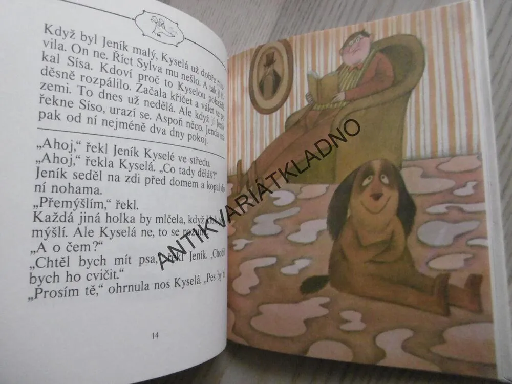 SÍSA KYSELÁ, MARTINA DRIJVEROVÁ, **an