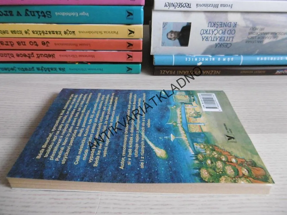 NOC OŽIVLÝCH BROKOL, PHILIP REEVE, **an