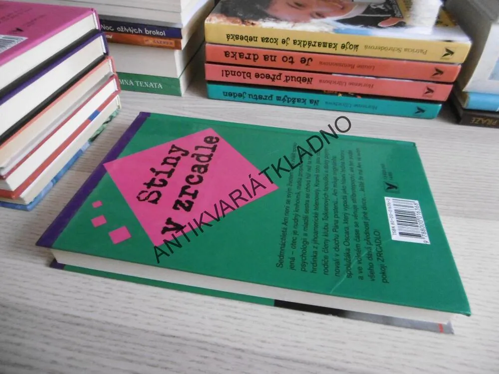 STÍNY V ZRCADLE, INGER EDELFELDTOVÁ, **an