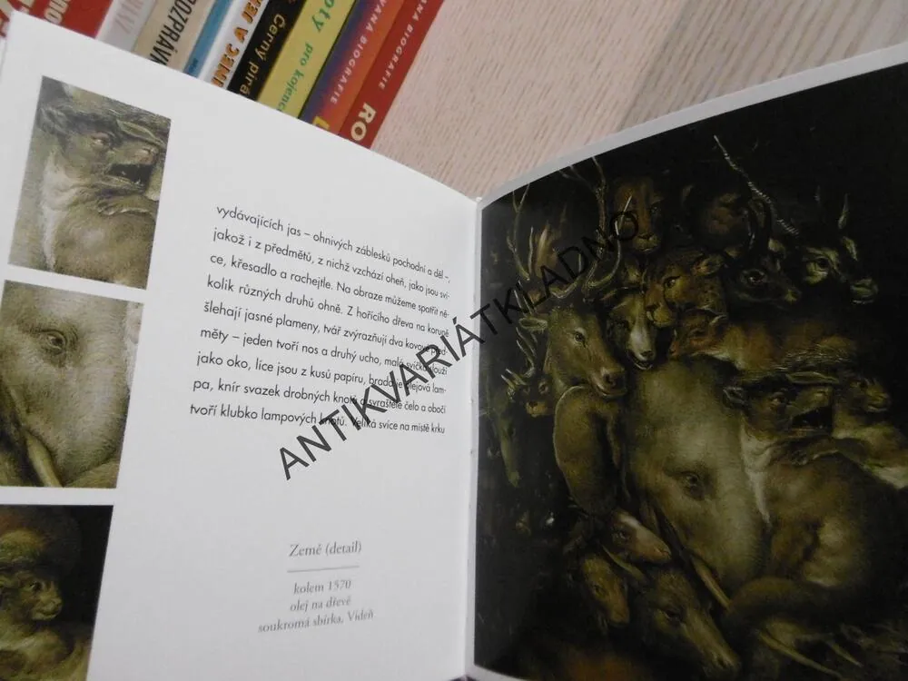 ARCIMBOLDO, **an