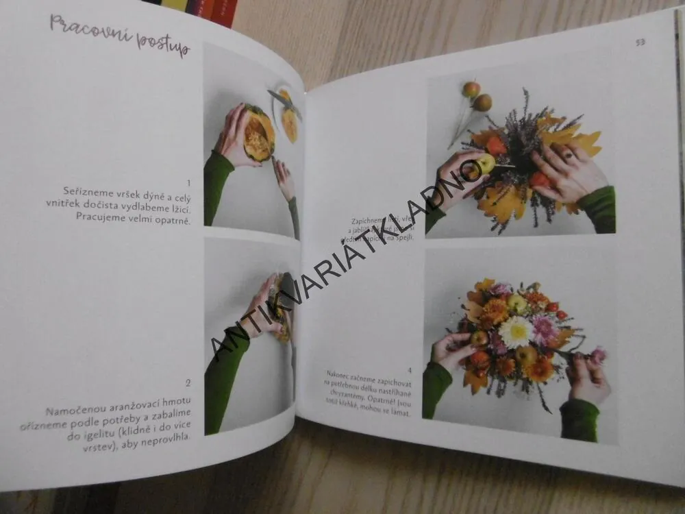 KOUZLA Z KVĚTIN, MARTINA ŠEDOVÁ, LENKA FOLTÝNOVÁ, **an