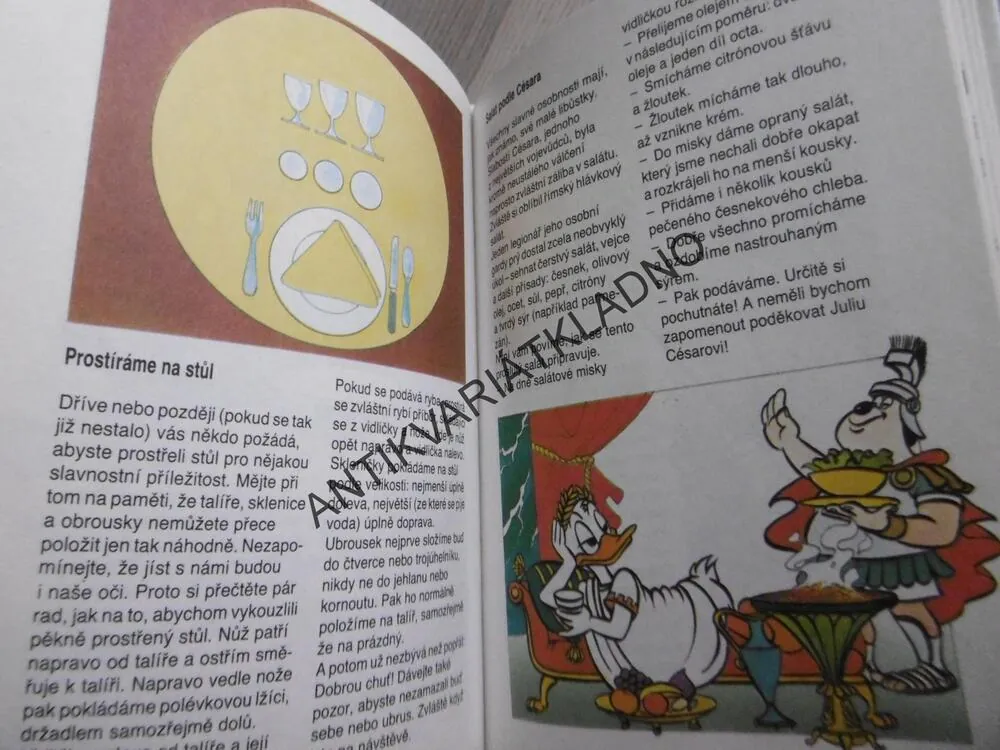 PŘÍRUČKA MLADÝCH SVIŠŤŮ, TAJNÁ KNIHA NA HRANÍ DOMA I VENKU, WALT DISNEY, **an