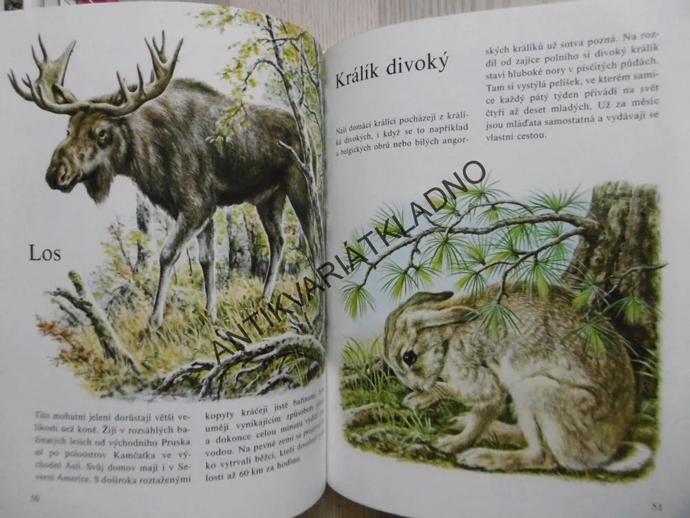 MŮJ BAREVNÝ ATLAS ZVÍŘAT, ERNEST W. BAUER, **an