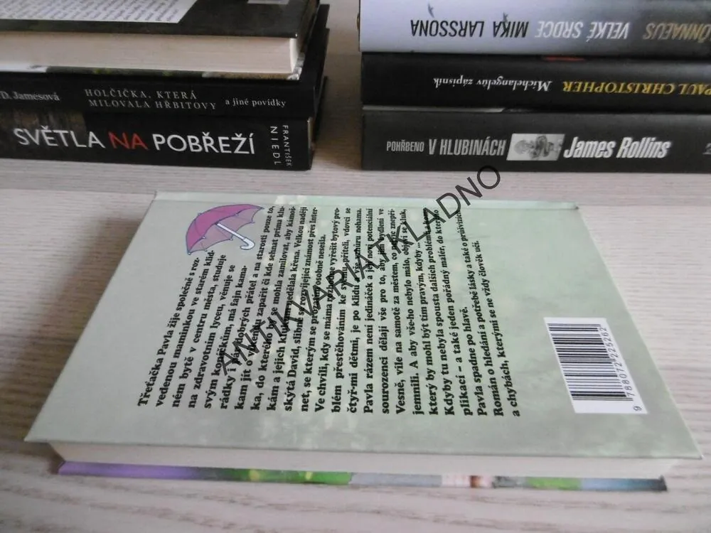 VŮNĚ DEŠTĚ, LENKA LANCZOVÁ, **an