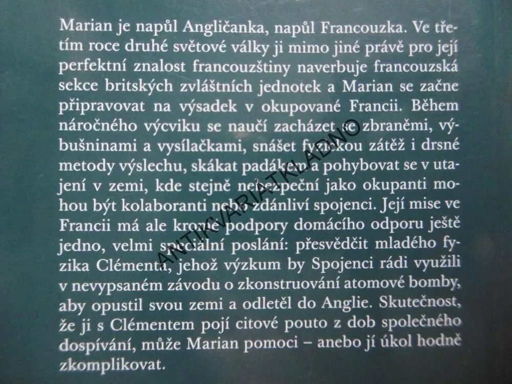 DÍVKA, KTERÁ SPADLA Z NEBE, SIMON MAWER, **an