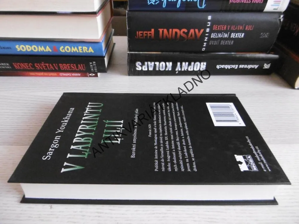 V LABYRINTU LILIÍ, SARGON YOUKHANA, **an