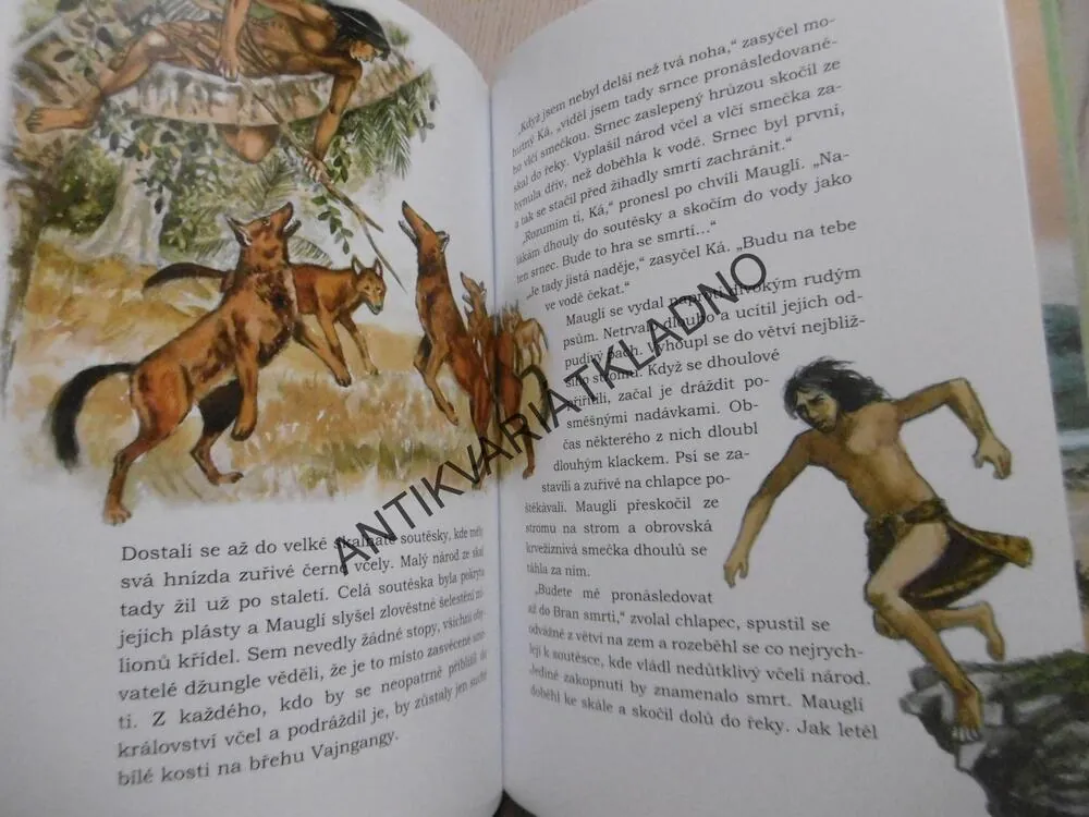 MAUGLÍ, RUDYARD KIPLING, JAN HORA,  **an