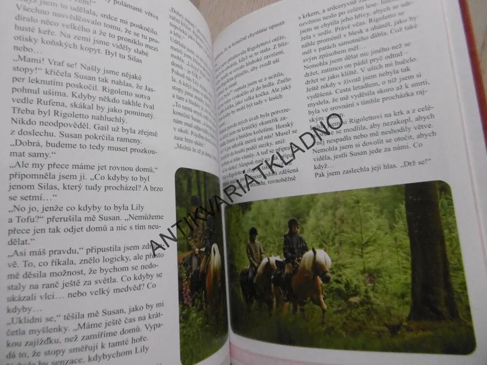 ZTRACENA V DIVOČINĚ, R.E.TORESEN, TAJUPLNÉ PRÁZDNINY 2006, **an
