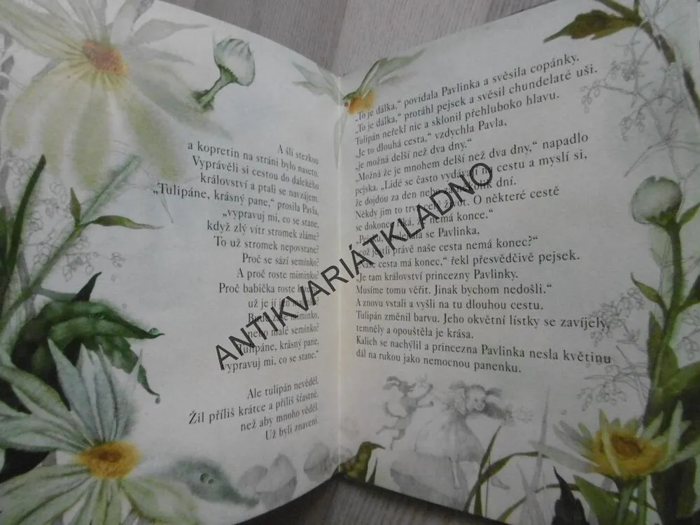 PRINCEZNA Z TŘEŠŇOVÉHO KRÁLOSTVÍ, MARKÉTA ZINNEROVÁ, MARINA RICHTEROVÁ, **an