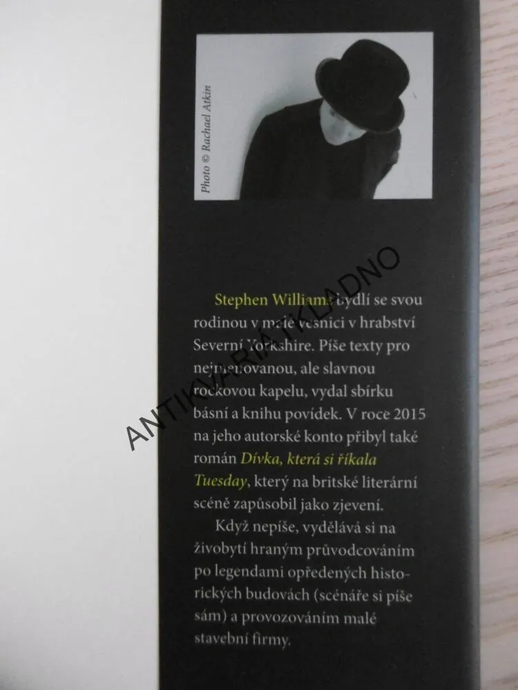 DÍVKA, KTERÁ SI ŘÍKALA TUESDAY, STEPHEN WILLIAMS, **an