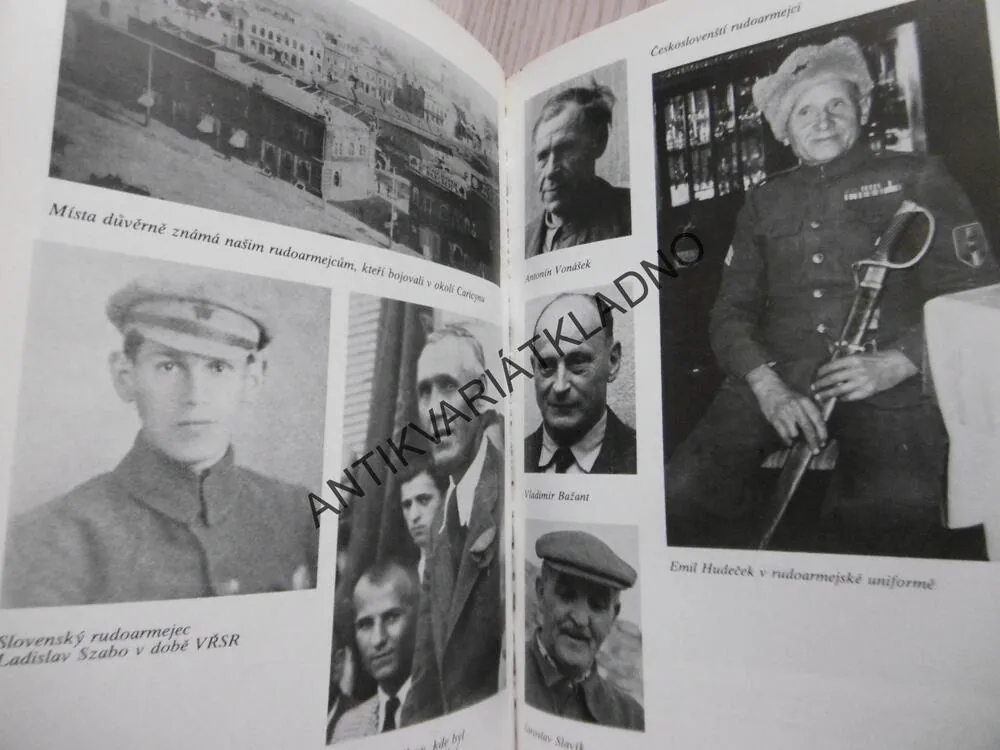 SVĚDKOVÉ VZDÁLENÉ PŘÍTOMNOSTI, STANISLAV ŠUSTA, **an