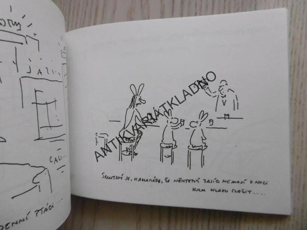 KNÍŽKA PRO SNÍLKY, VLADIMÍR JIRÁNEK, **an