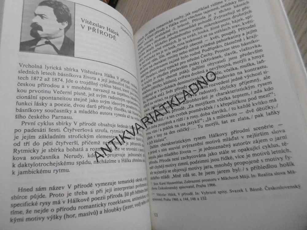 ROZUMĚT LITERATUŘE, INTERPRETACE ZÁKLADNÍCH DĚL ČESKÉ LITERATURY, MILAN ZEMAN A KOLEKTIV