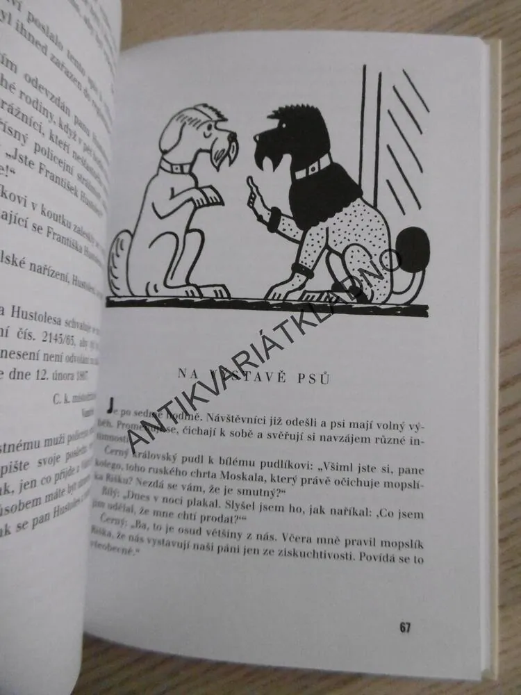 ÚTRAPY VYCHOVATELE, JAROSLAV HAŠEK, **an