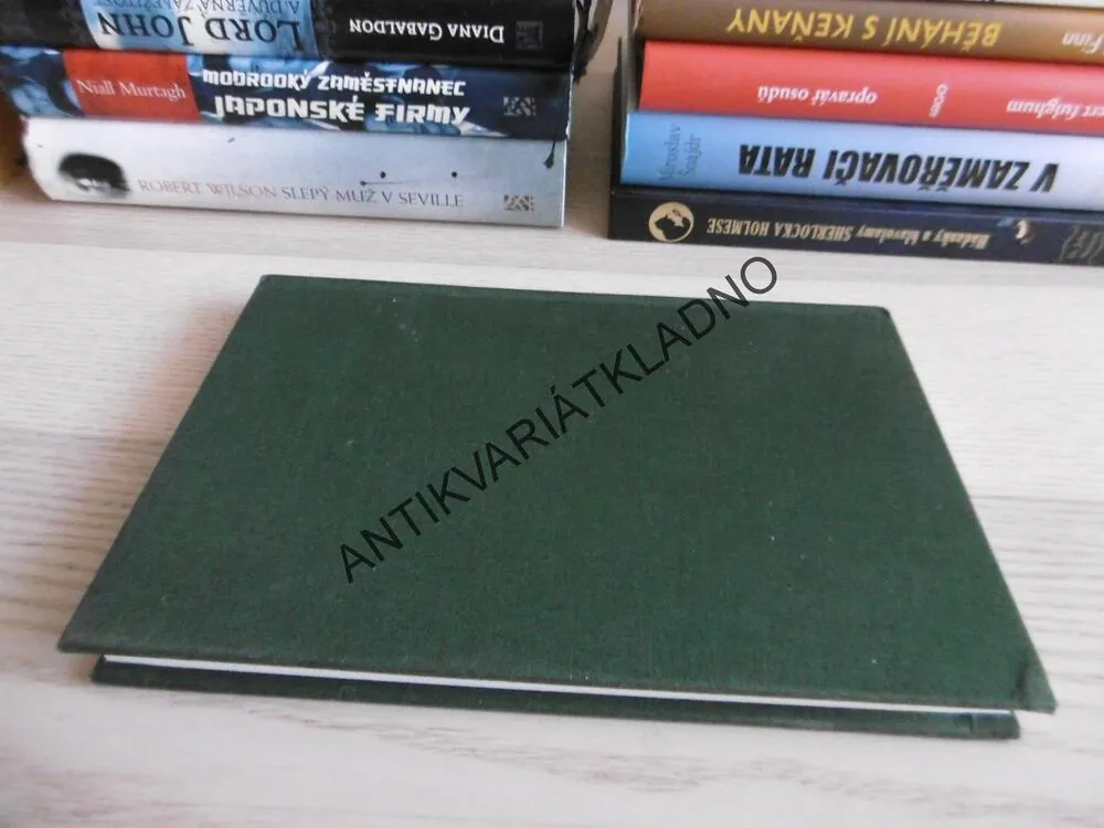 ÚVOD DO INTEGRÁLNÍ JÓGY, EDUARD TOMÁŠ