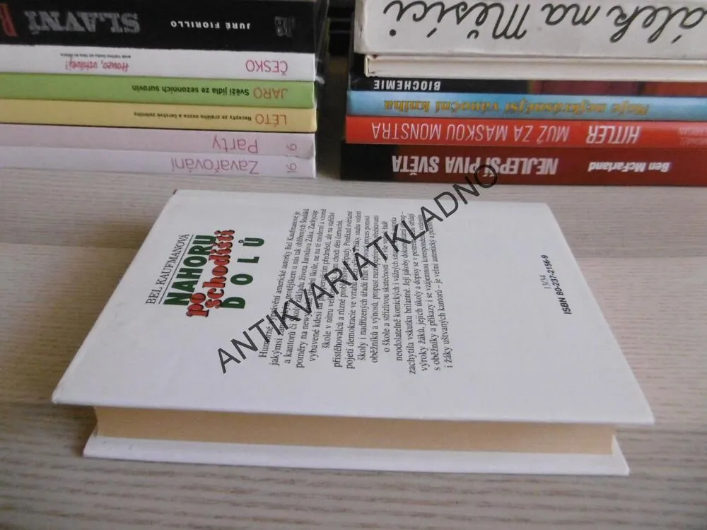 NAHORU PO SCHODIŠTI DOLŮ, BEL KAUFMANOVÁ, **an