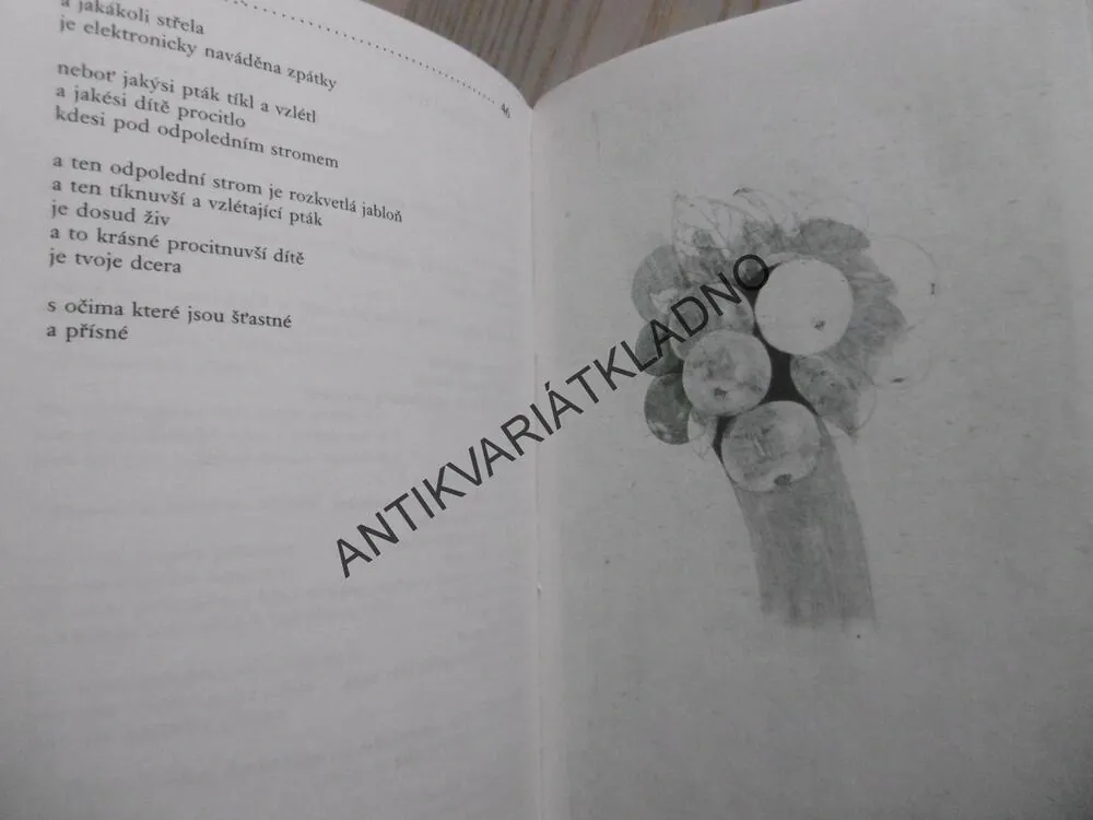 IKAROS EXISTOVAL, JOSEF HANZLÍK, **an