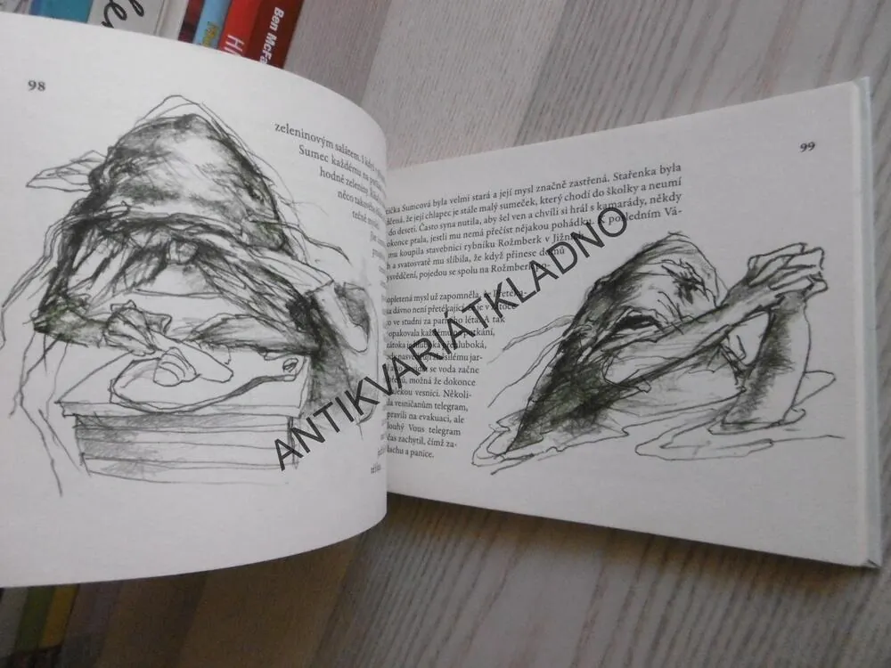 RYBA CHYBA, MAGDALENA WAGNEROVÁ, **an